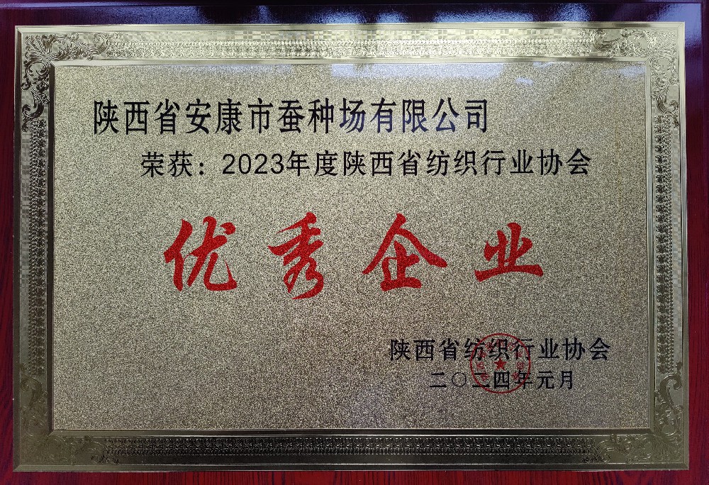 2023年度陕西省纺织行业协会优秀企业