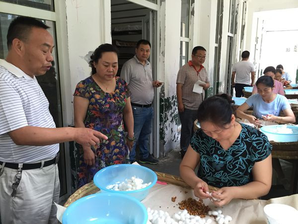 市蚕种场发挥工会职能开展劳动竞赛活动