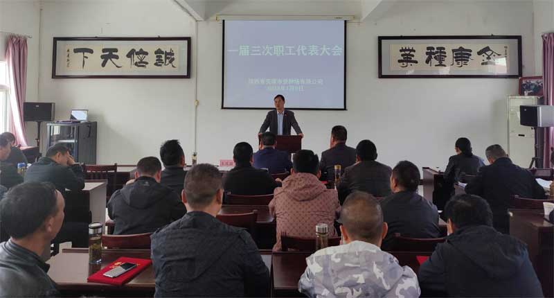 安康qy球友会官网召开一届三次职工代表大会