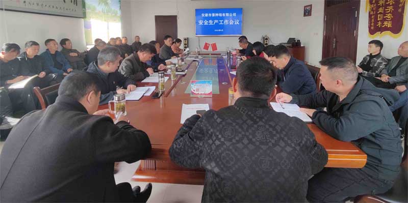 安康qy球友会官网召开安全生产工作专题会议