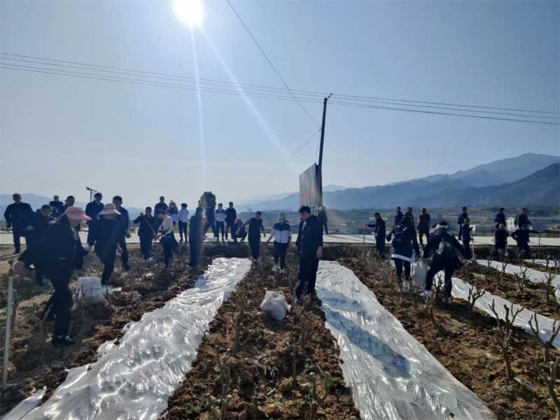 安康qy球友会官网科协 开展第三十一届“科技之春”宣传月活动···