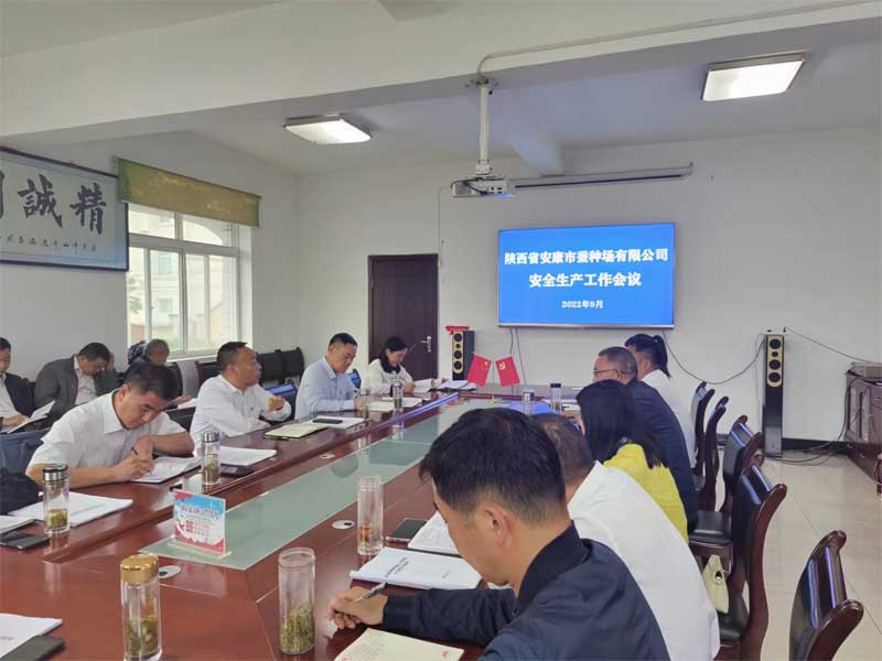 安康qy球友会官网召开安全生产工作专题会议