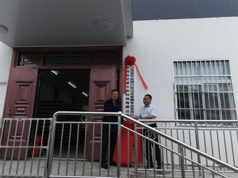 “三联共建”结新果 产业发展促振兴