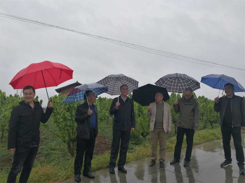 西北农林科技大学原副校长钱永华教授一行莅临我场指导工作