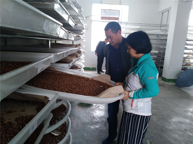 中国蚕研所徐安英研究员来我场调研