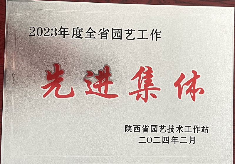 全省园艺工作先进集体