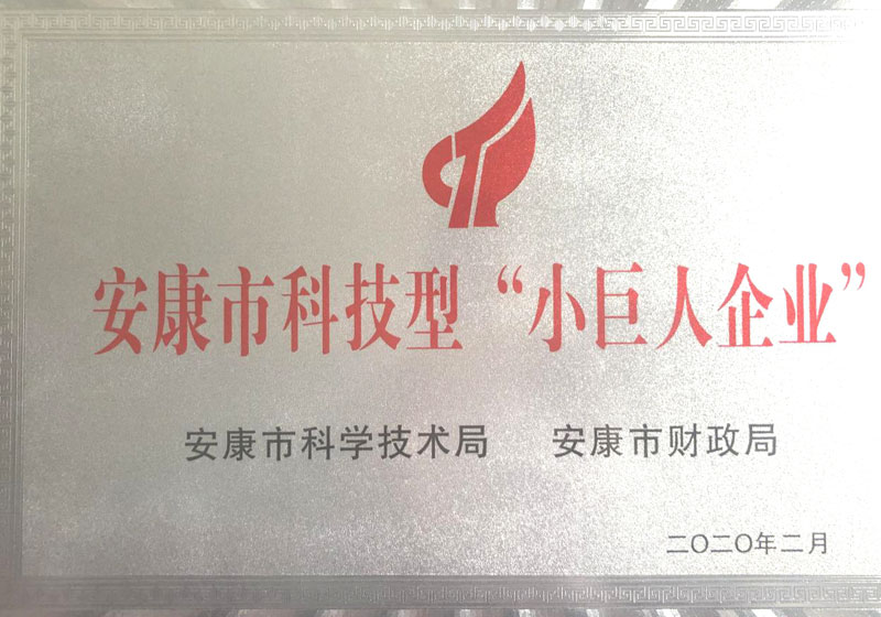 安康市科技型“小巨人企业”