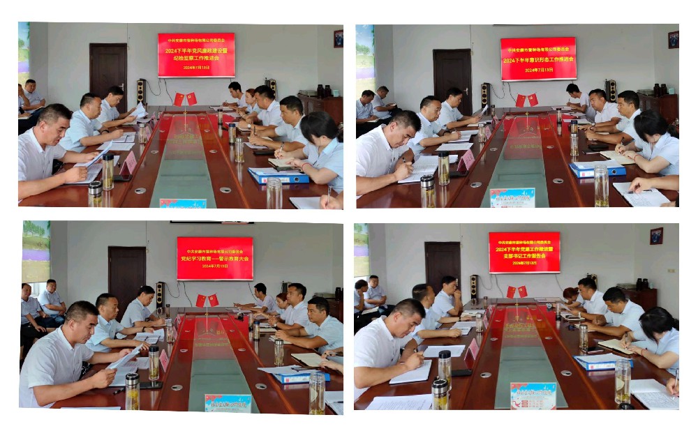 提升QY球友会体育质效，赋能公司高质量发展