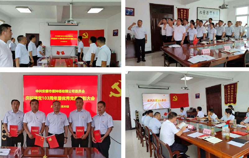 发扬伟大建党精神，推进公司事业不断发展