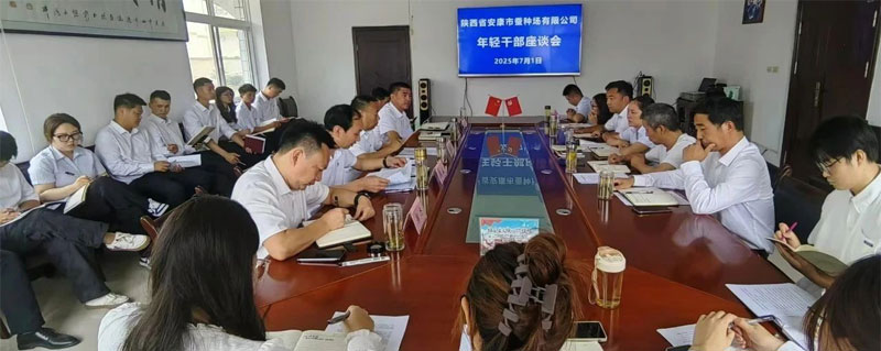 凝聚青春力量 共话使命担当—qy球友会官网召开年轻干部座谈会