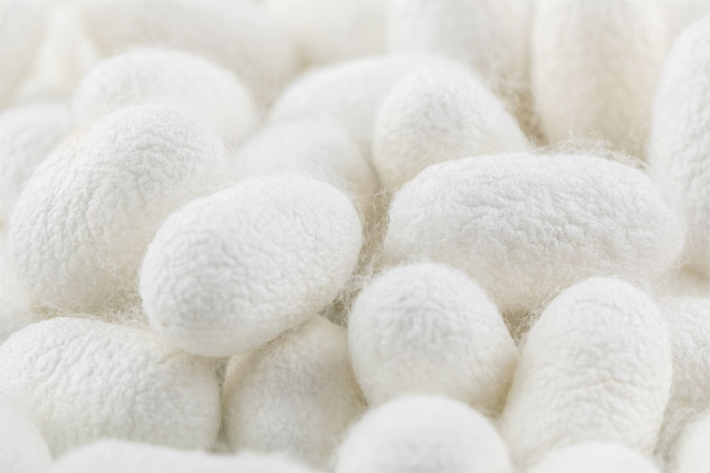 蚕丝被的储存与保养