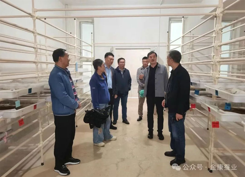 省农作物种质资源库调研组到安康qy球友会官网调研桑蚕种质资···