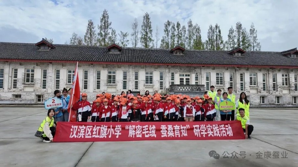 剥茧抽丝探奥秘，微观创意悟真知