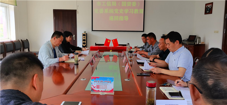 市国资委党史学习教育第二巡回指导组到市蚕种场检查指导党史学习···
