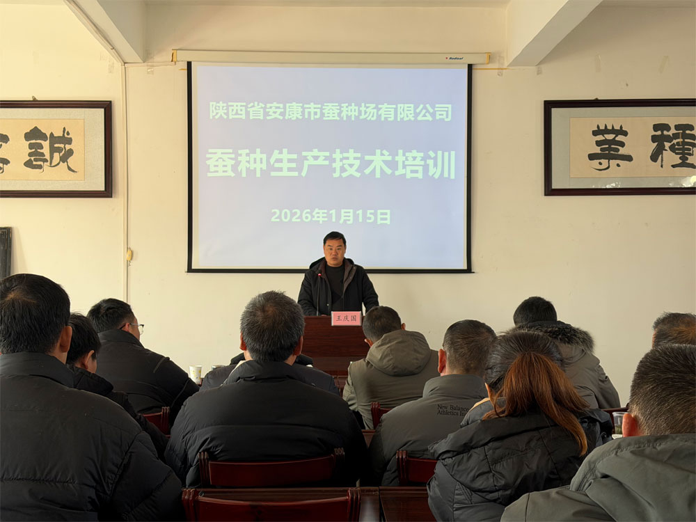 夯实技术根基 赋能蚕种产业高质量发展——安康qy球友会官网开···