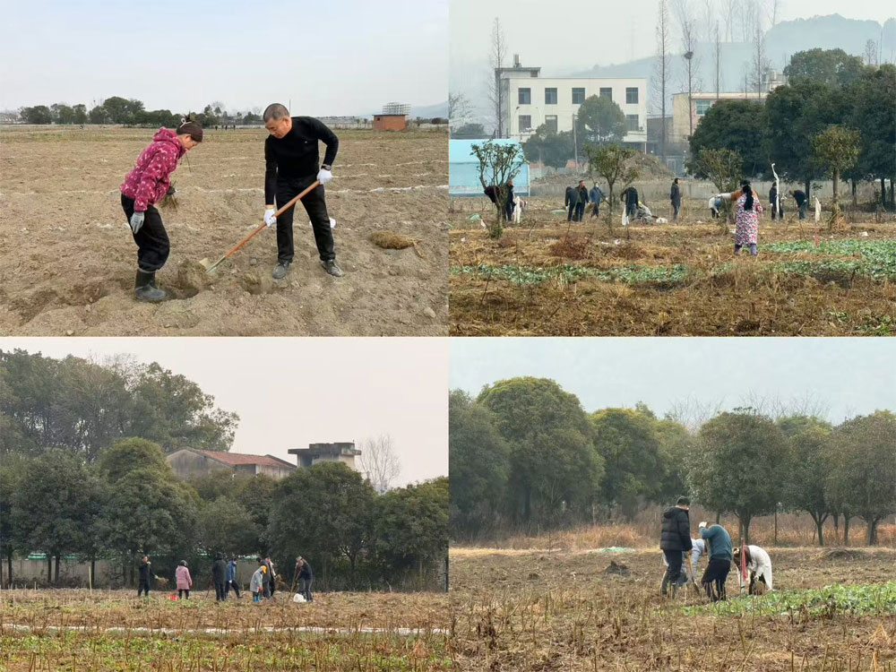 深耕沃土育新苗 同心聚力强根基——安康qy球友会官网开展全员···